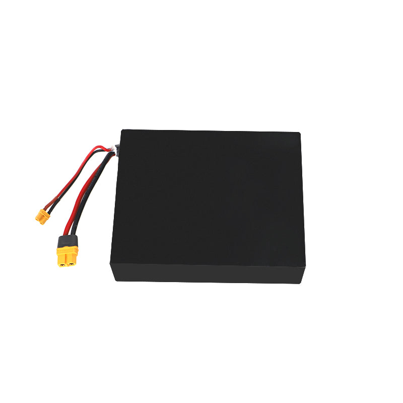 Veymax® Battery for Roadster X4 Pro