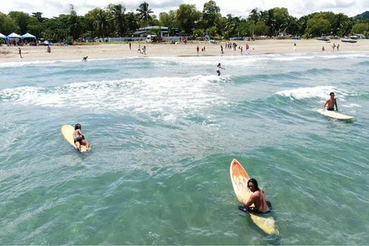 electric surfboard and frisbee