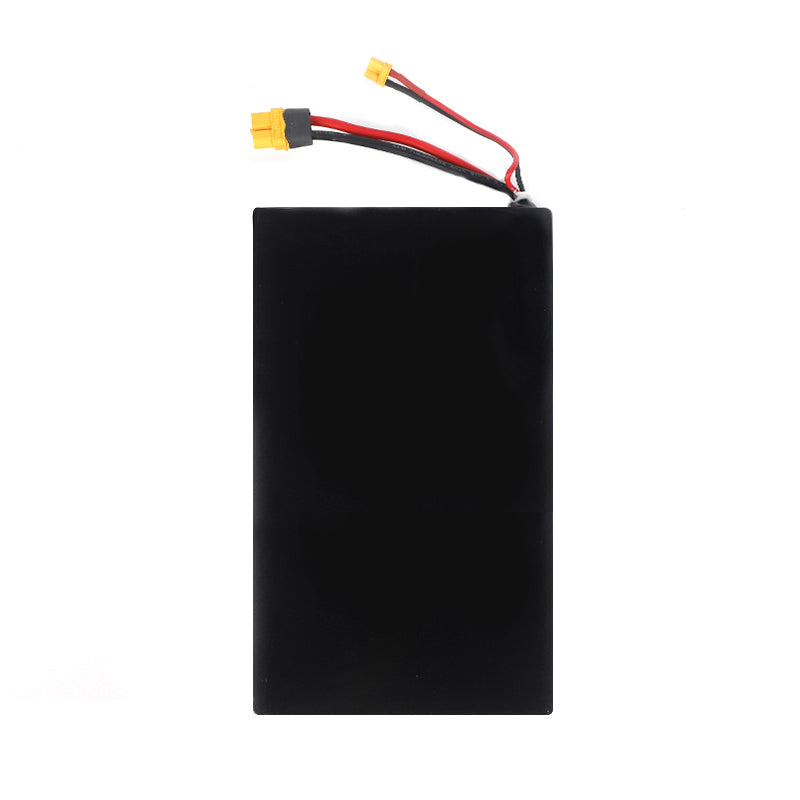 Veymax® Battery for Mini 2/2S