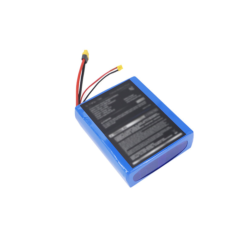 Veymax Battery for X4/Cejour Standard Version
